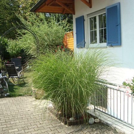 קרסברון אם בודנזי Ferienwohnung Weiser מראה חיצוני תמונה