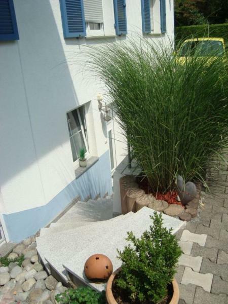 קרסברון אם בודנזי Ferienwohnung Weiser מראה חיצוני תמונה